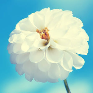 Meet your Posher, Beach